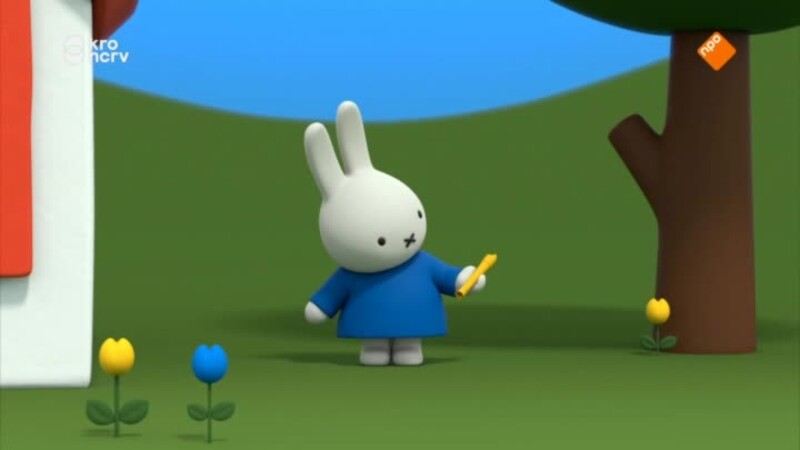 Nijntjes avonturen, groot en klein: Knorretje de ballerina - Nijntje en